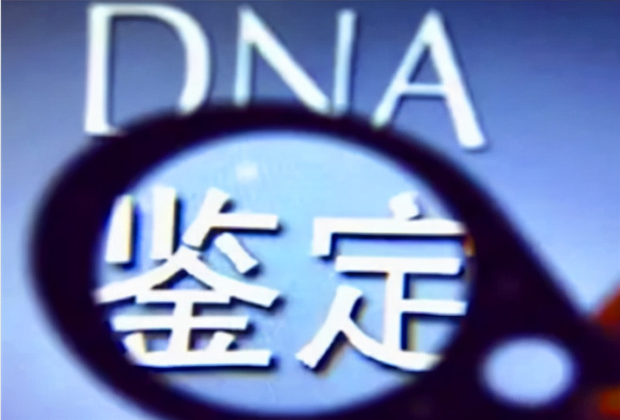 桂林血缘检测到哪里办理,桂林DNA鉴定要多少钱的费用