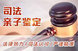 石家庄司法DNA亲子鉴定需要什么手续(附2025年亲子鉴定办理地址)，石家庄司法亲子鉴定在什么地方做