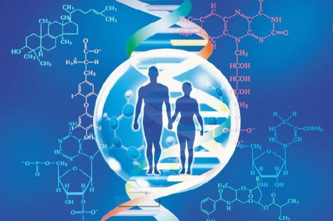 怀化哪里找正规DNA鉴定中心,怀化正规的DNA鉴定机构多少钱