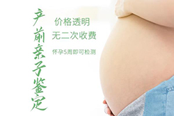 在[双鸭山]怀孕几个月要如何办理DNA亲子鉴定，双鸭山孕期亲子鉴定收费情况
