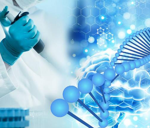 深圳哪家医院可以做DNA亲子鉴定,深圳医院做DNA亲子鉴定如何办理