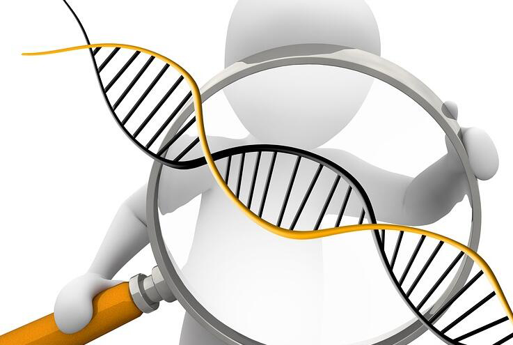 海东能办理DNA亲子鉴定吗,海东做亲子鉴定条件和流程