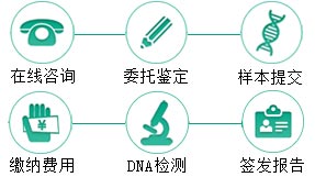 上户口亲子鉴定咨询